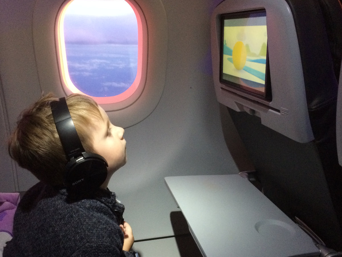 Airline Ticket for a Child RUSSIAN AMERICAN CHILDREN'S FOUNDATION